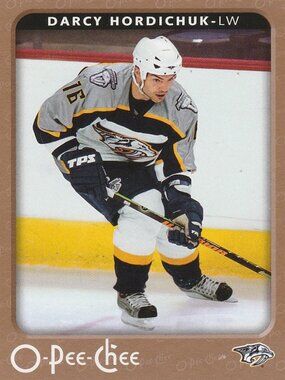 Darcy Hordichuk - 2006/2007 O Pee Chee Hockey Card
